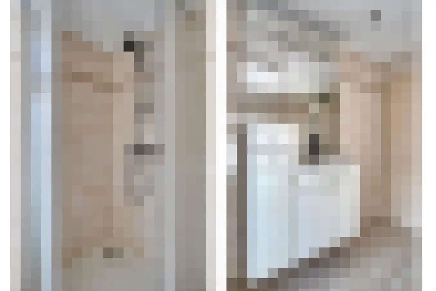 Penningkruid 48 Cuijk thumbnail 24
