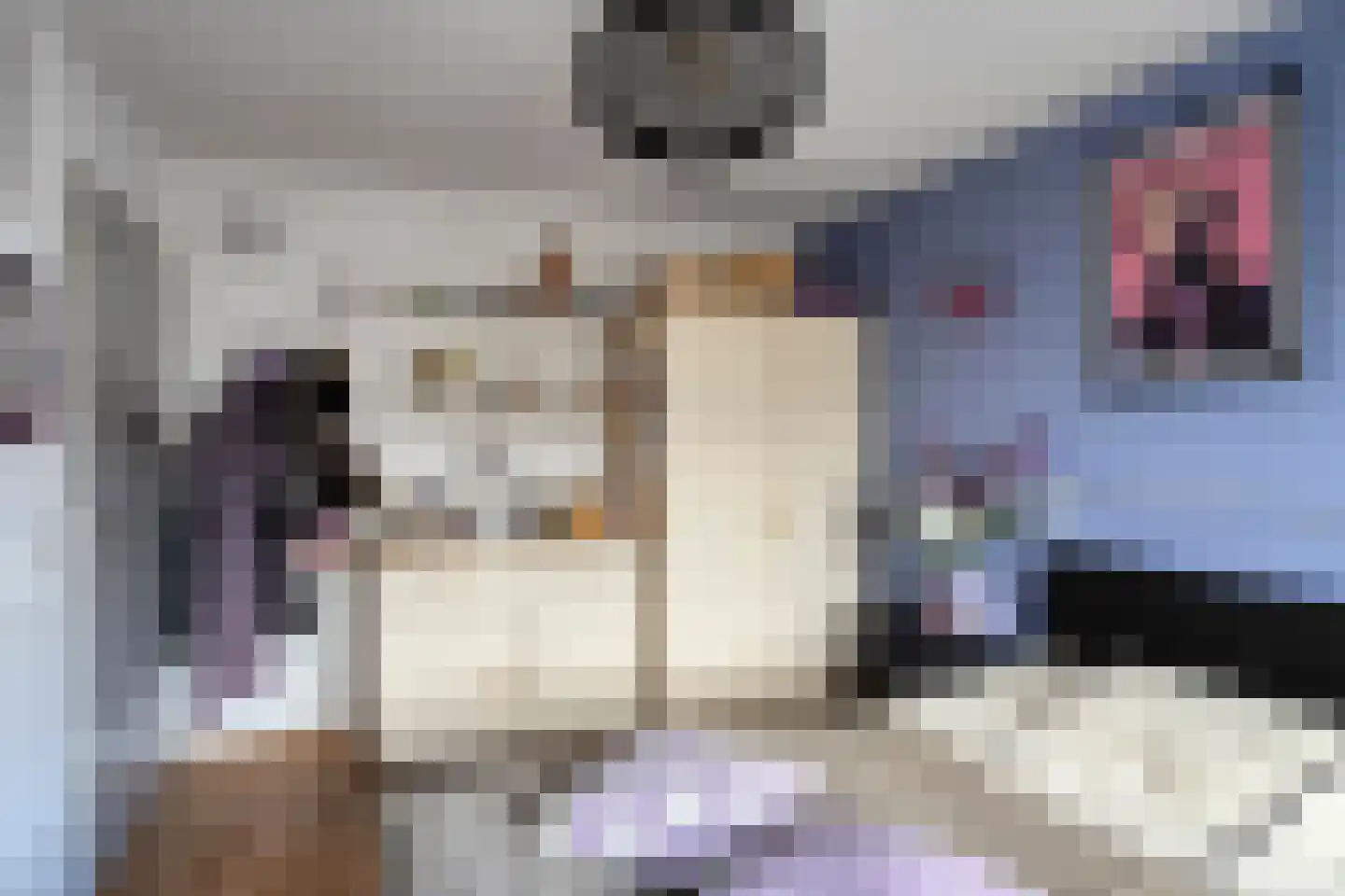 Penningkruid 48 Cuijk thumbnail 26