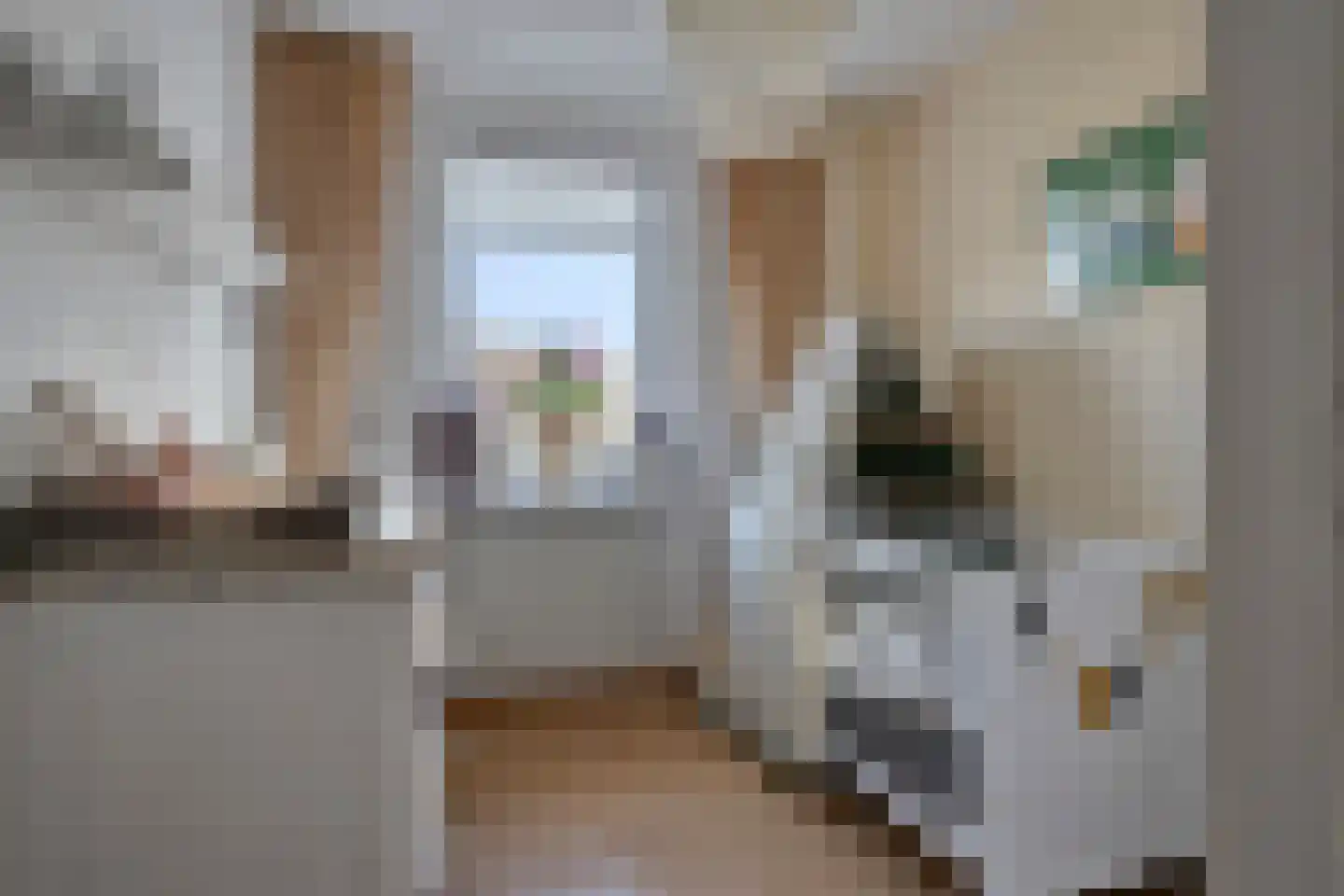 Penningkruid 48 Cuijk thumbnail 27