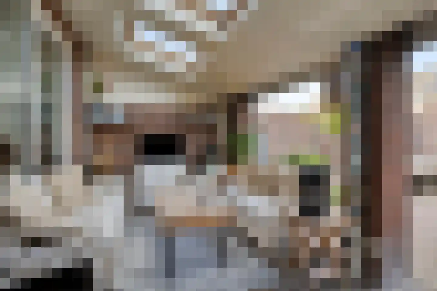 Penningkruid 48 Cuijk thumbnail 33
