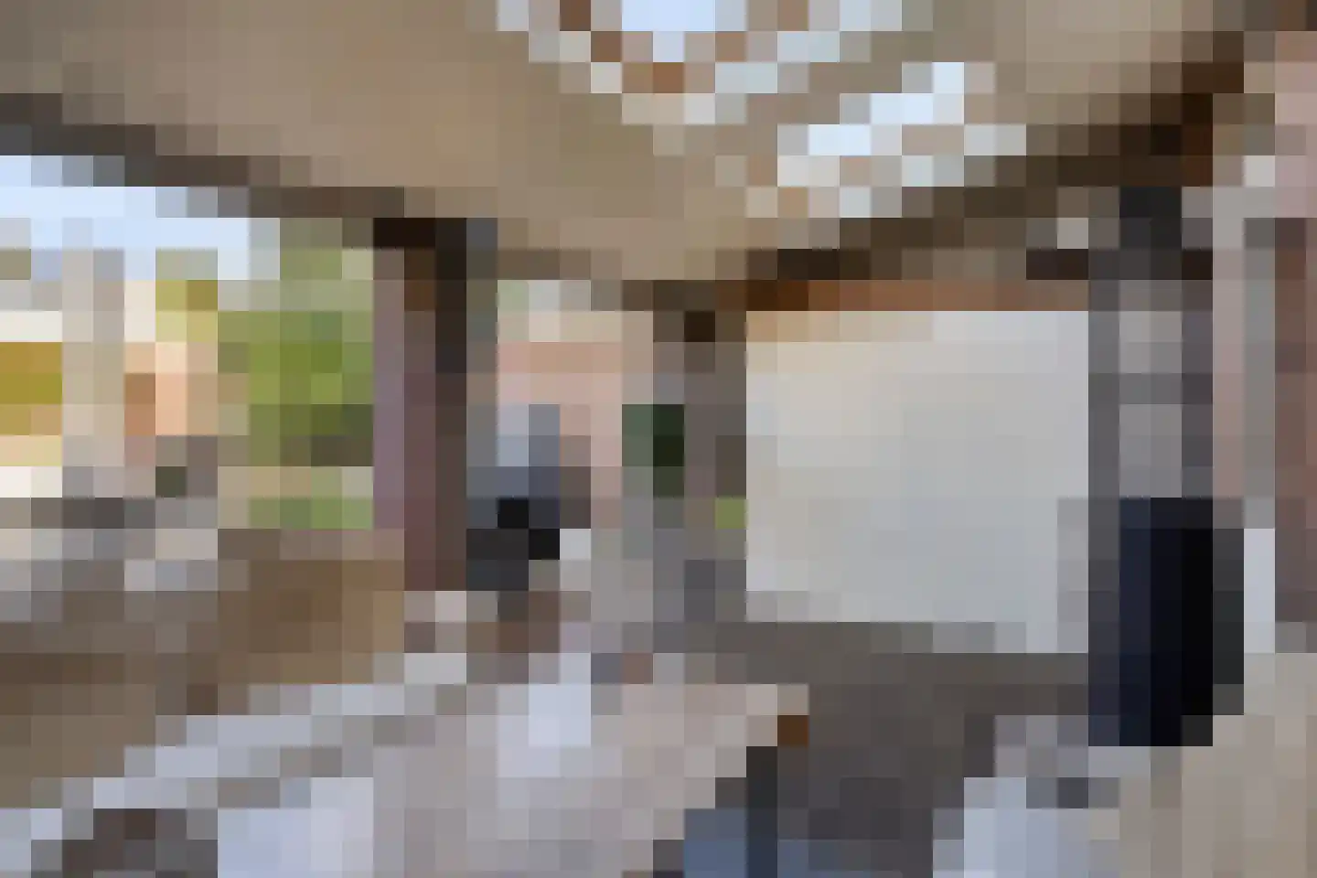 Penningkruid 48 Cuijk thumbnail 34