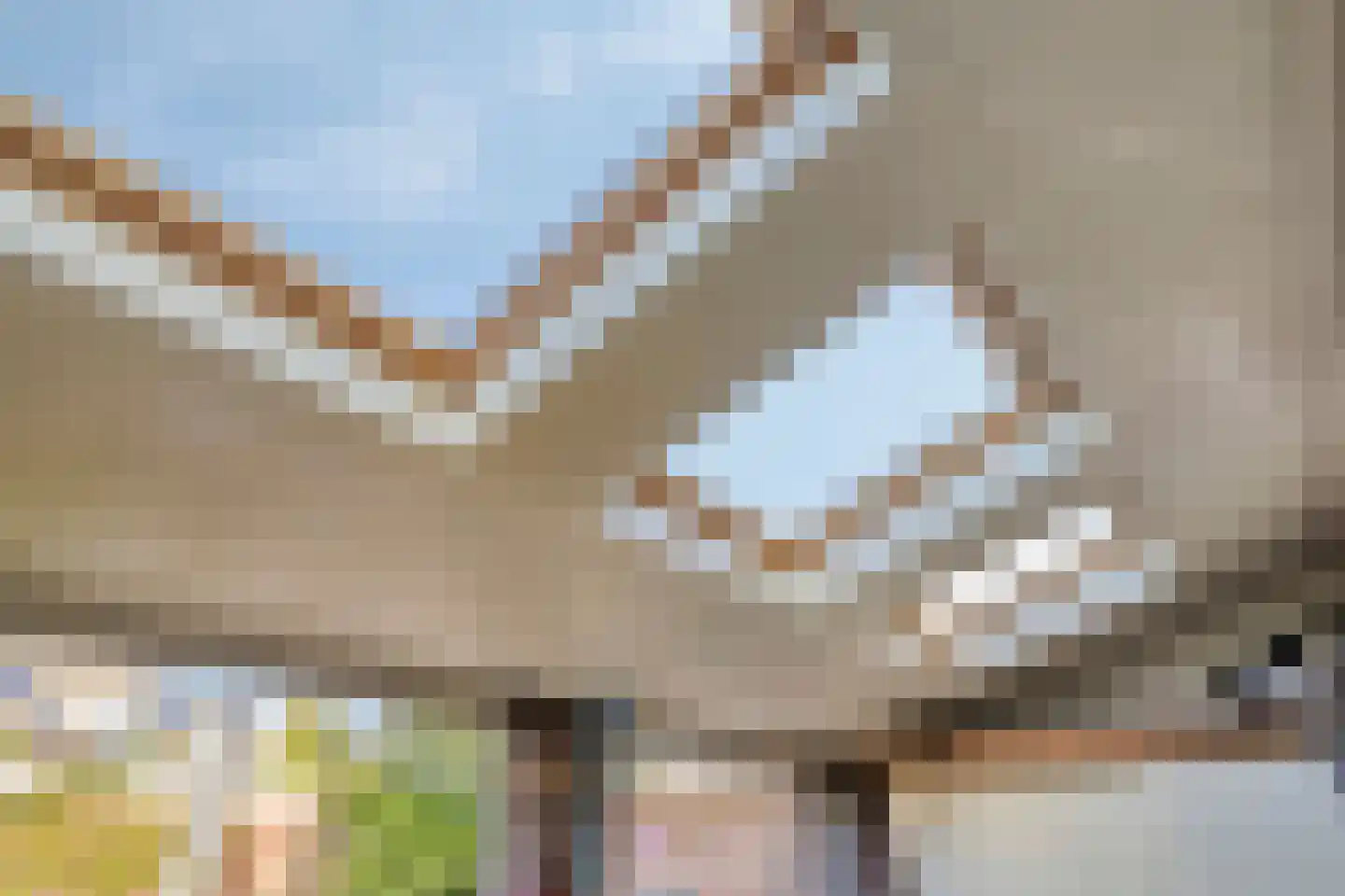 Penningkruid 48 Cuijk thumbnail 35
