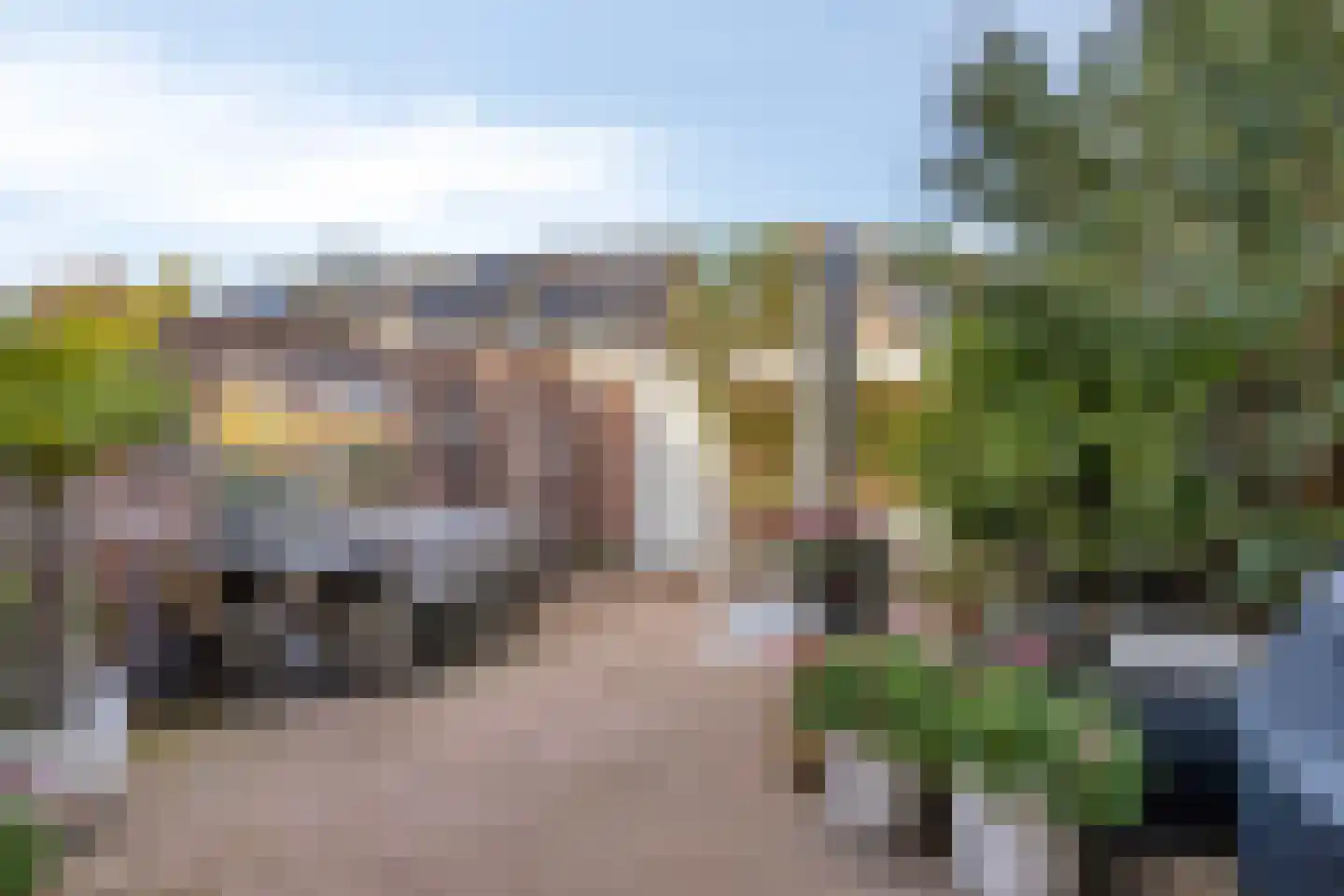 Penningkruid 48 Cuijk thumbnail 37