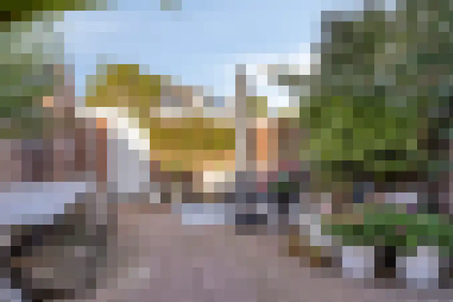 Penningkruid 48 Cuijk thumbnail 38