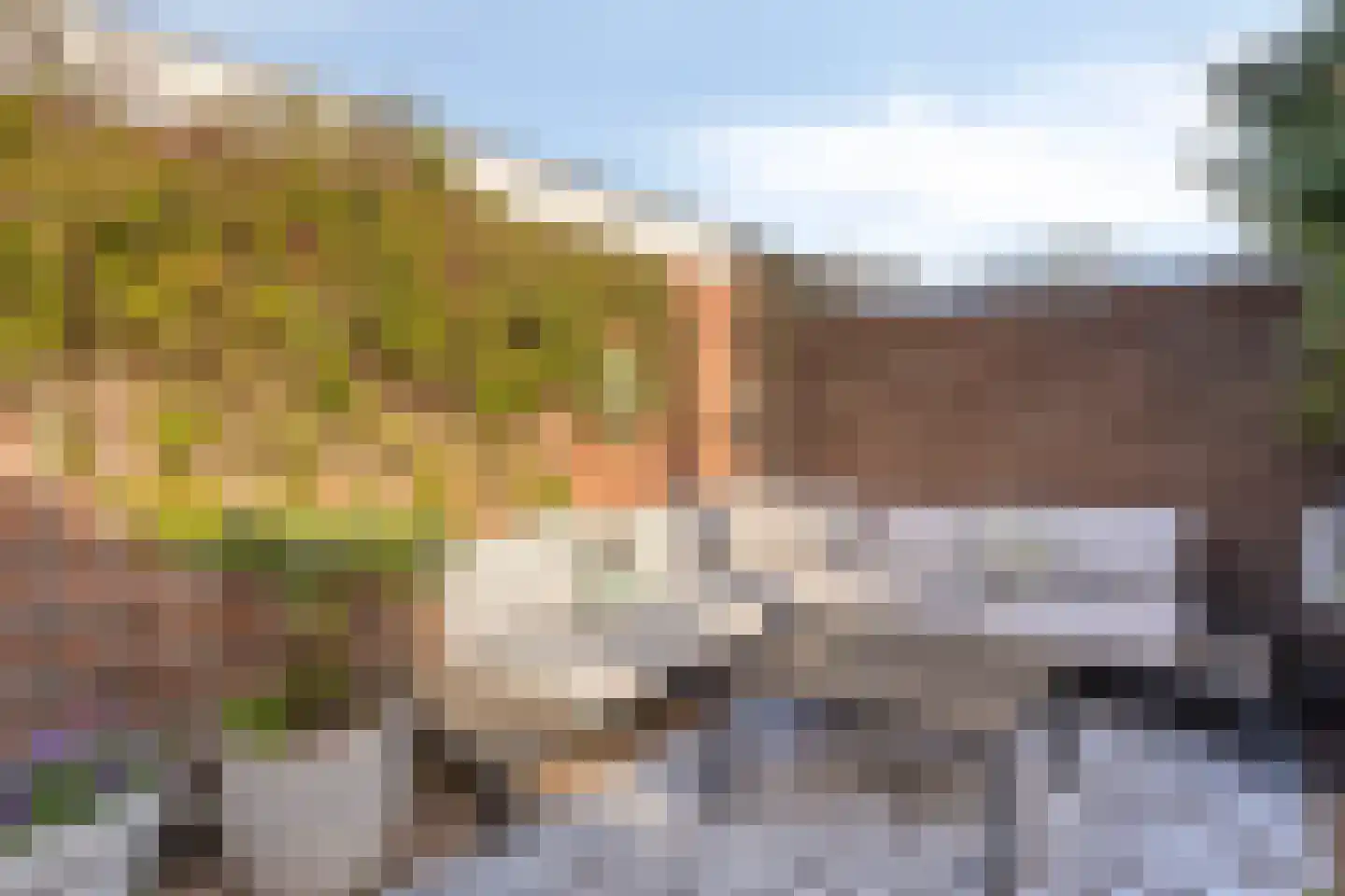 Penningkruid 48 Cuijk thumbnail 39
