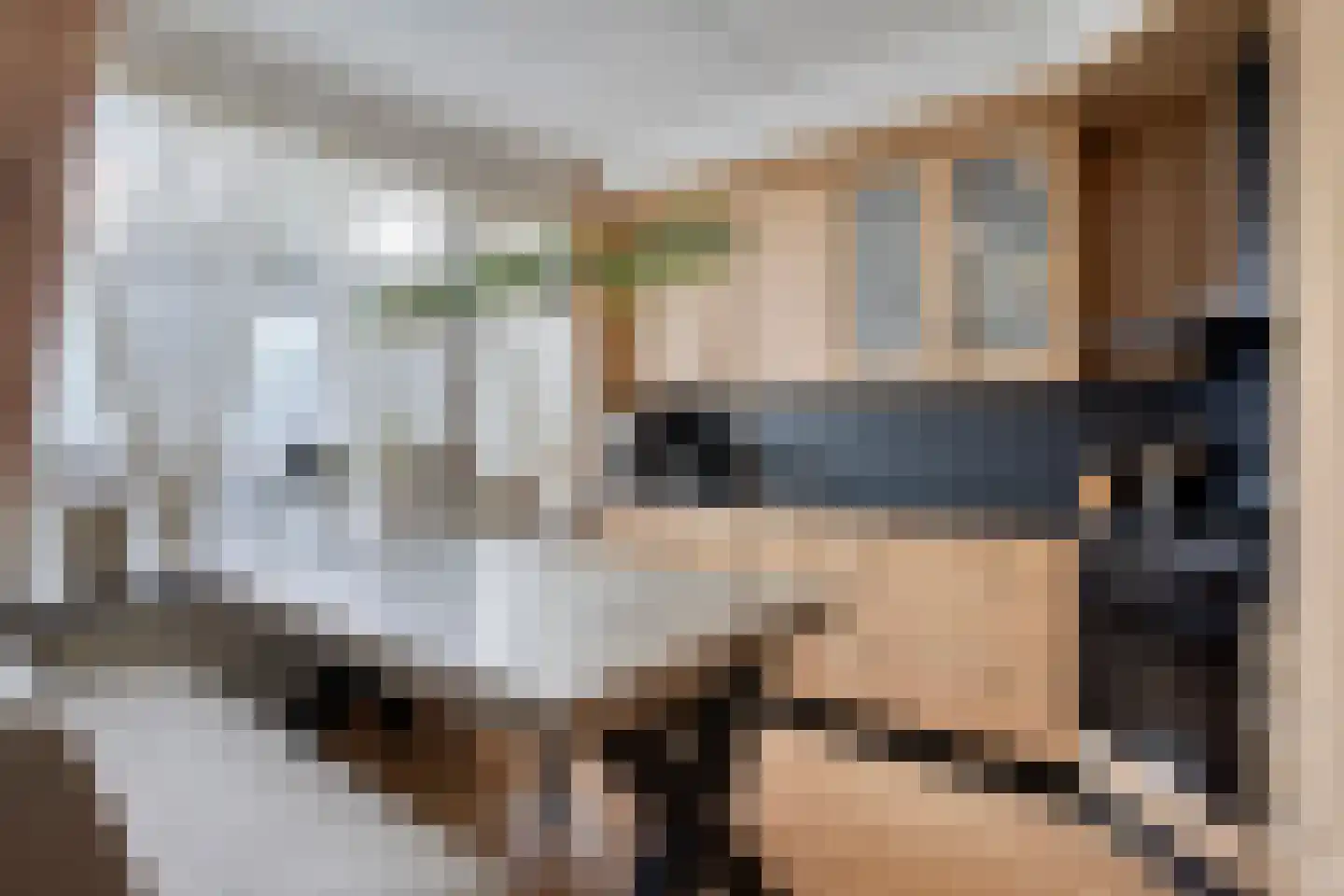Penningkruid 48 Cuijk thumbnail 4