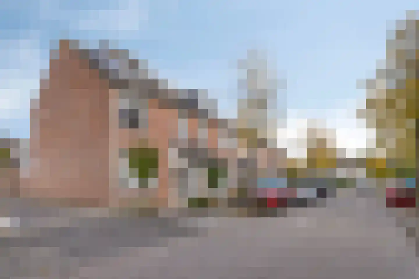 Penningkruid 48 Cuijk thumbnail 40