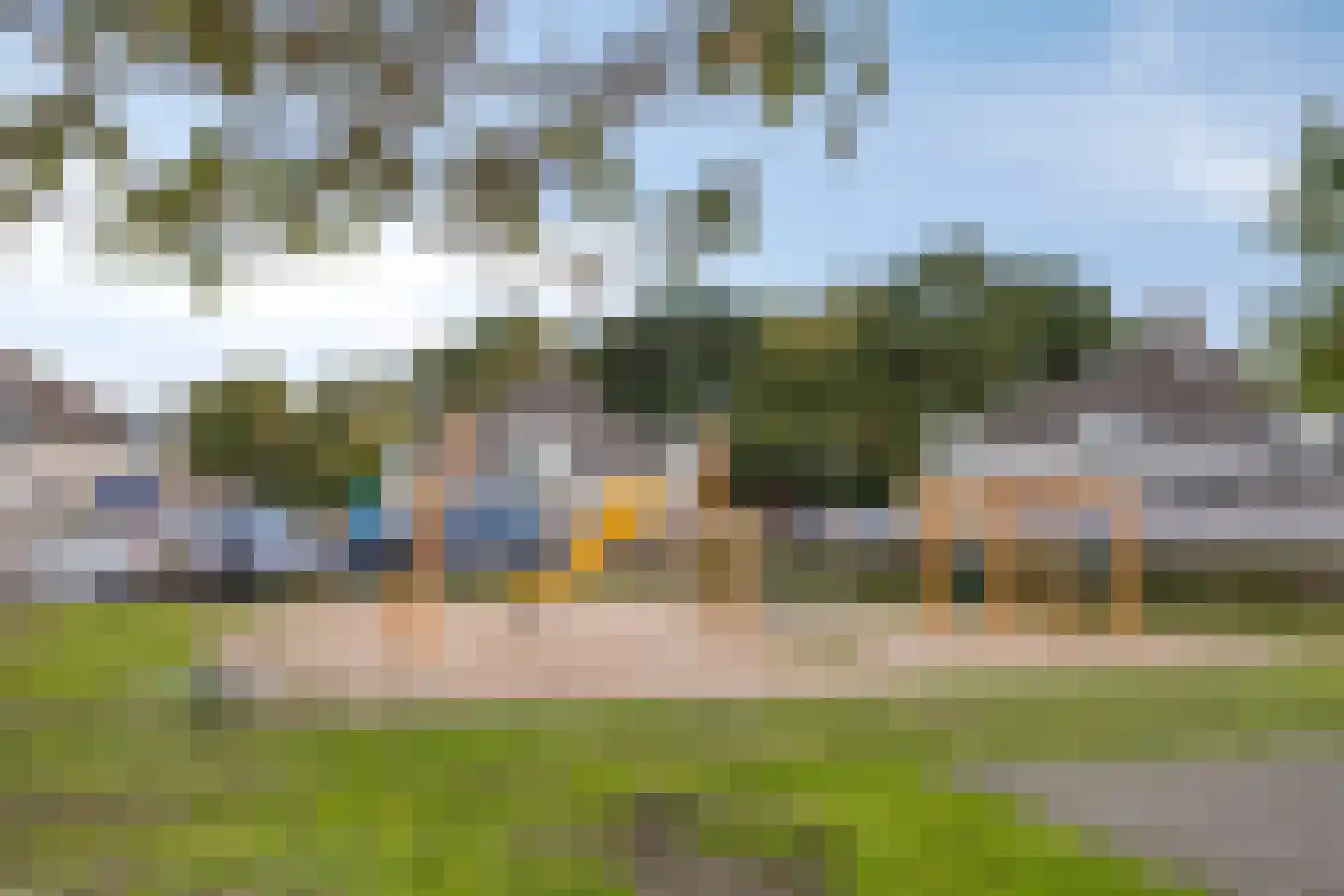 Penningkruid 48 Cuijk thumbnail 41