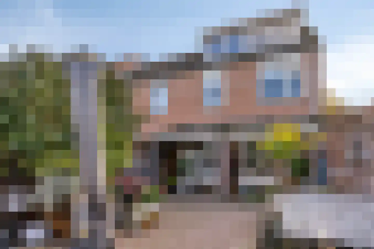 Penningkruid 48 Cuijk thumbnail 6