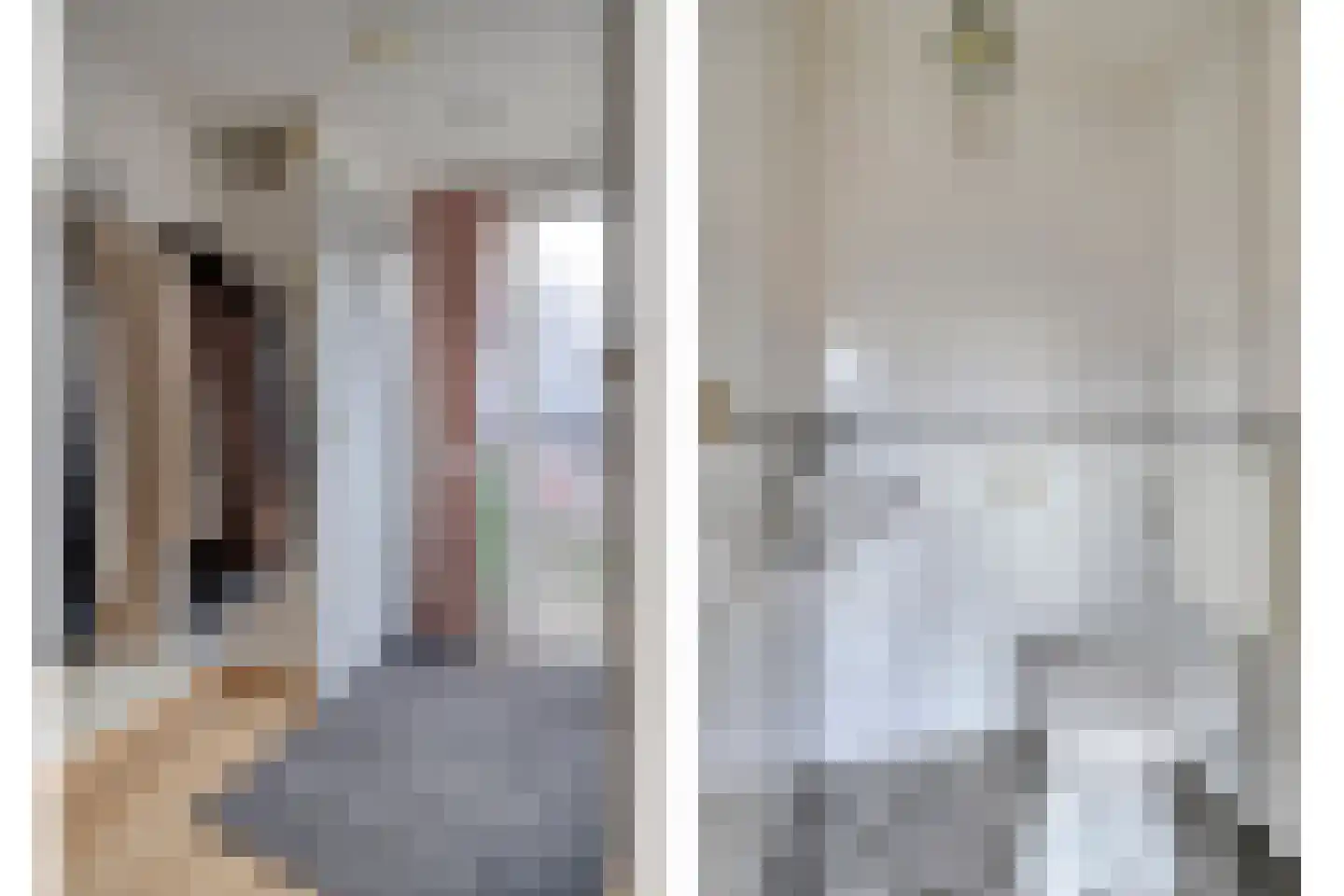 Penningkruid 48 Cuijk thumbnail 9