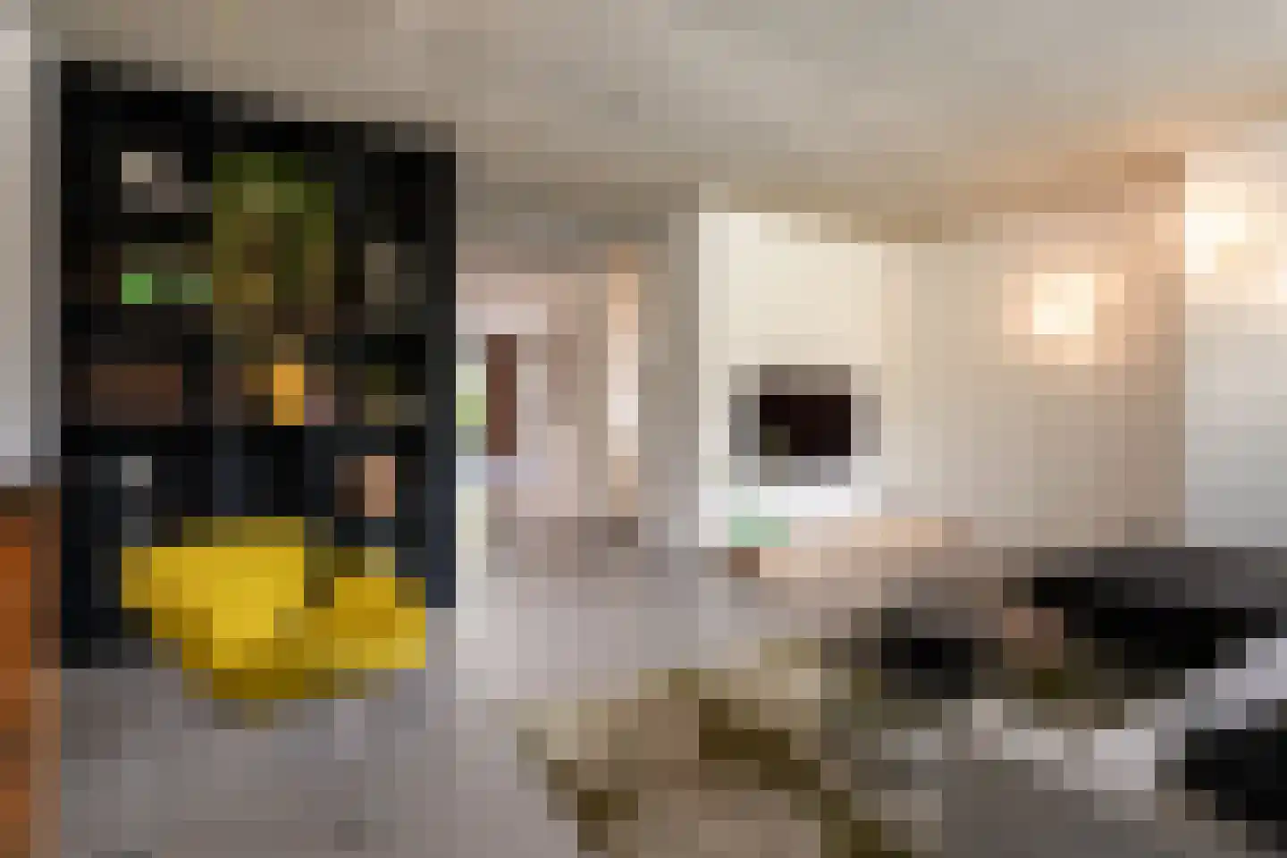 Penningkruid 5 Berghem thumbnail 10