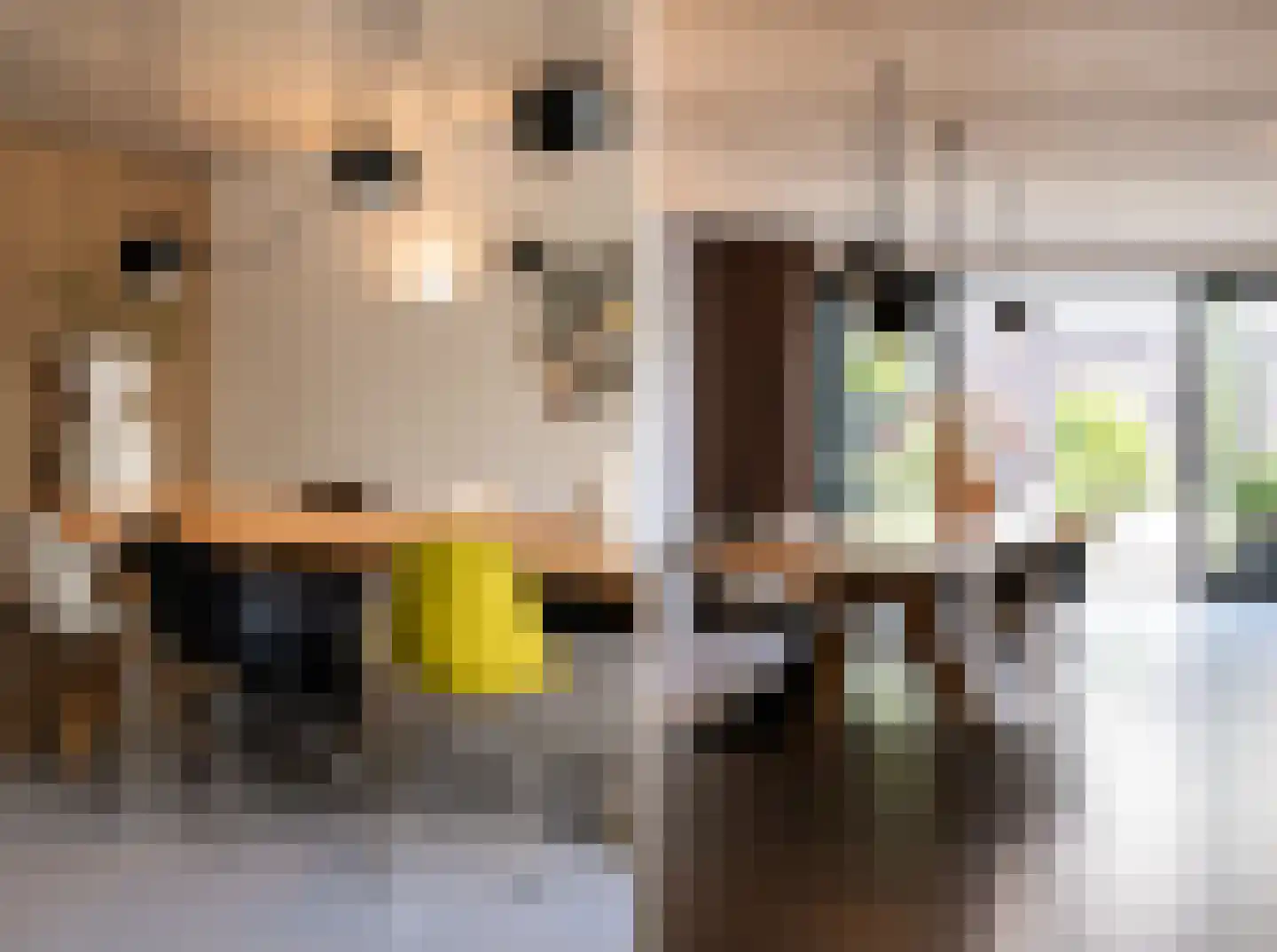 Penningkruid 5 Berghem thumbnail 11