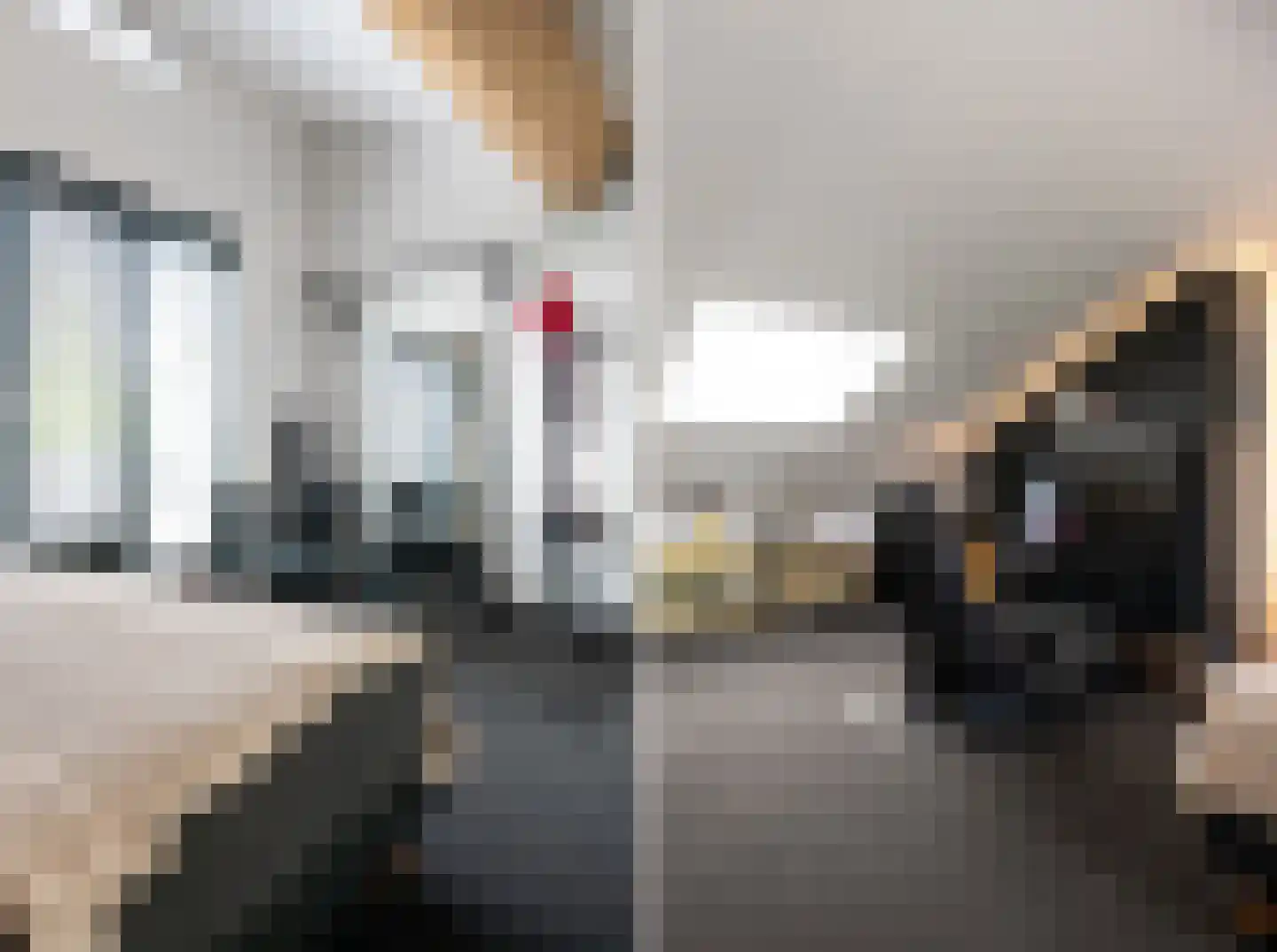 Penningkruid 5 Berghem thumbnail 20