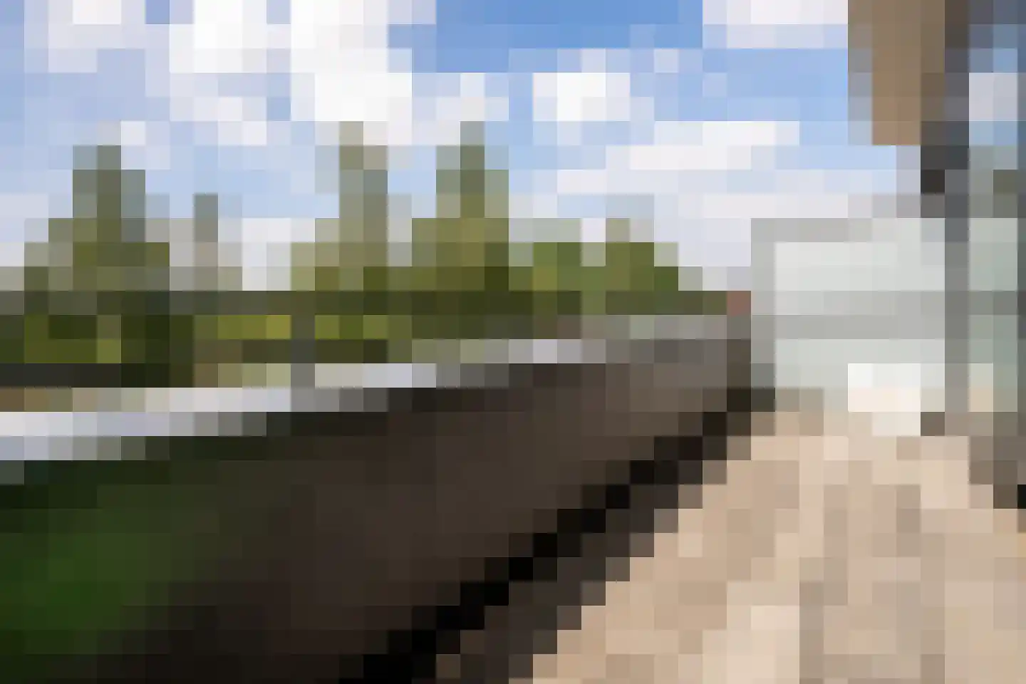 Penningkruid 5 Berghem thumbnail 21
