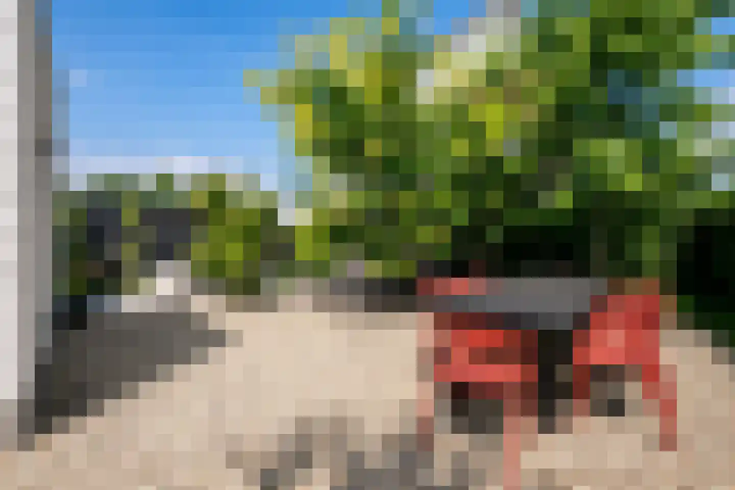 Penningkruid 5 Berghem thumbnail 28