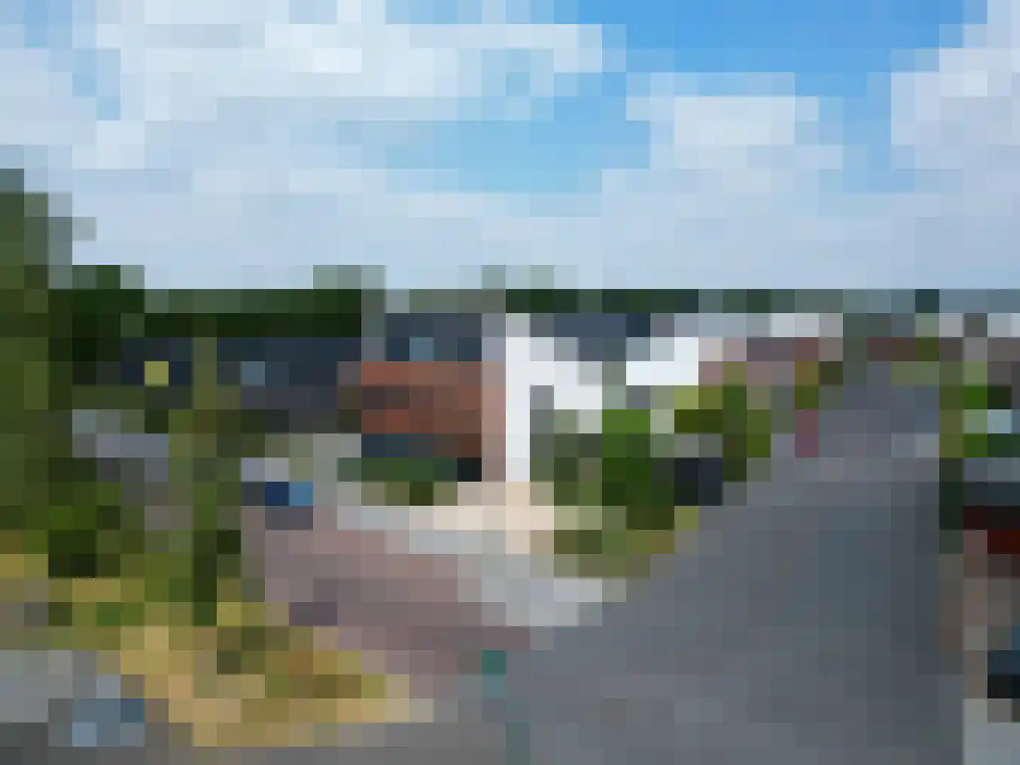 Penningkruid 5 Berghem thumbnail 33