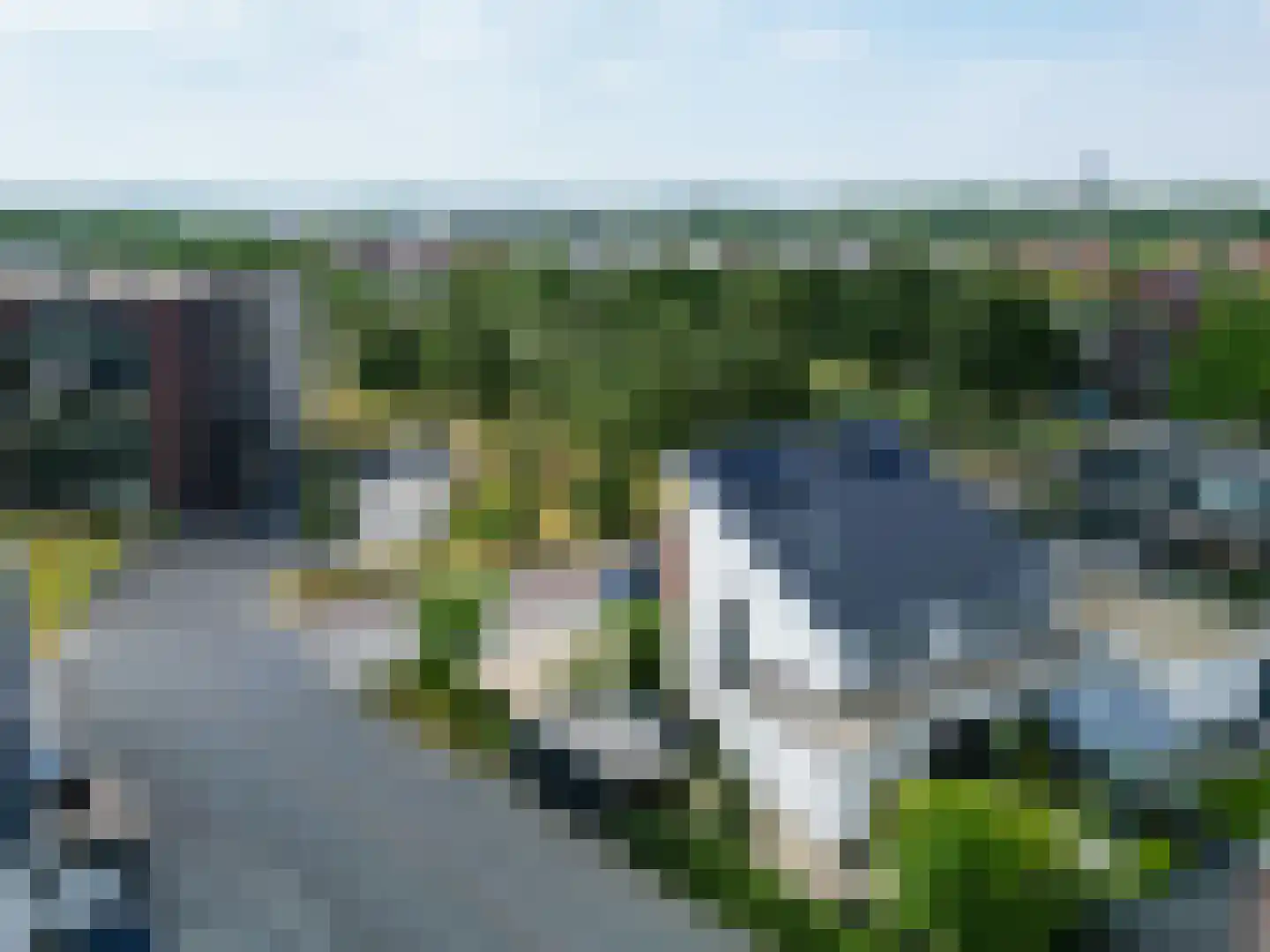 Penningkruid 5 Berghem thumbnail 34