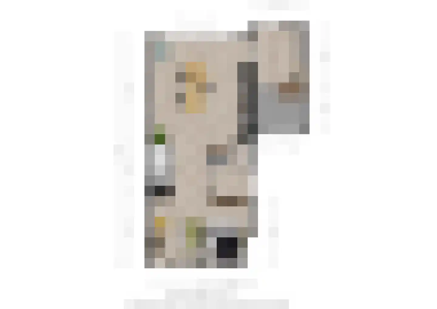 Penningkruid 5 Berghem thumbnail 35