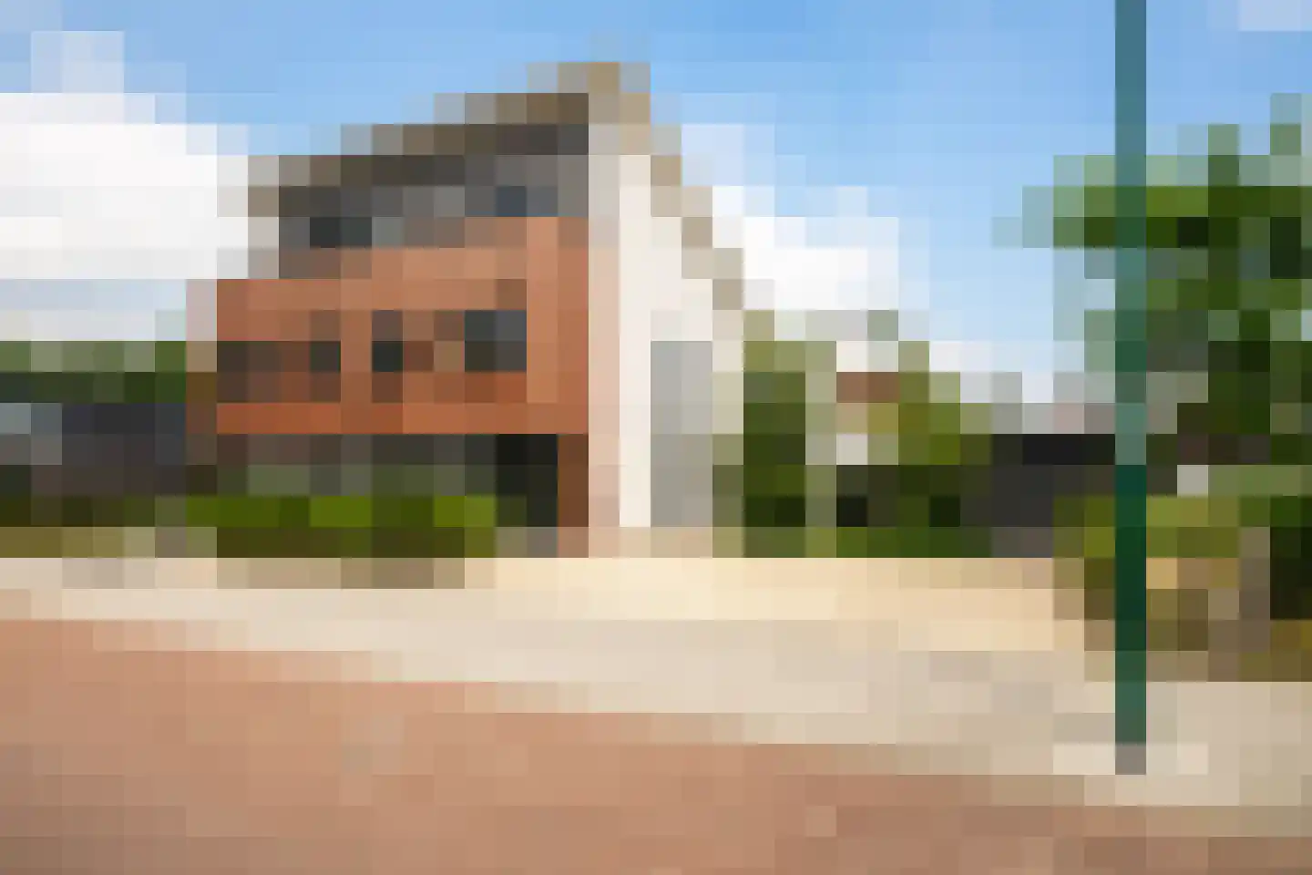 Penningkruid 5 Berghem thumbnail 5