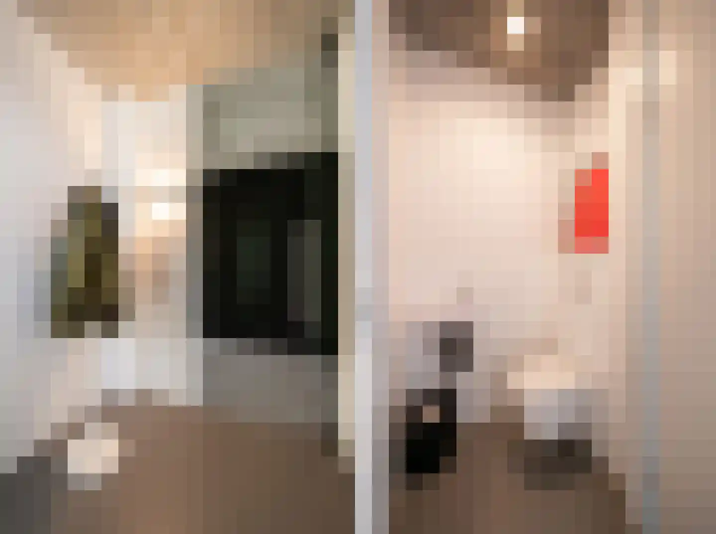 Penningkruid 5 Berghem thumbnail 6