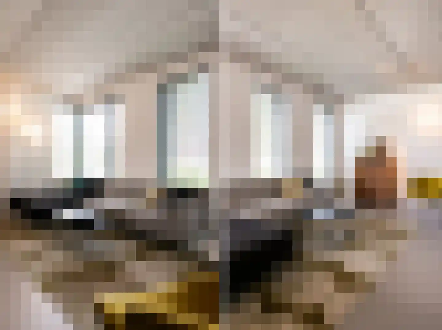 Penningkruid 5 Berghem thumbnail 8