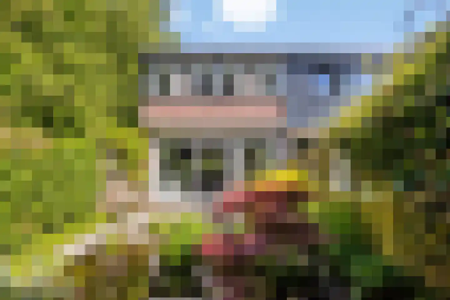 Penningkruid 52 in Purmerend