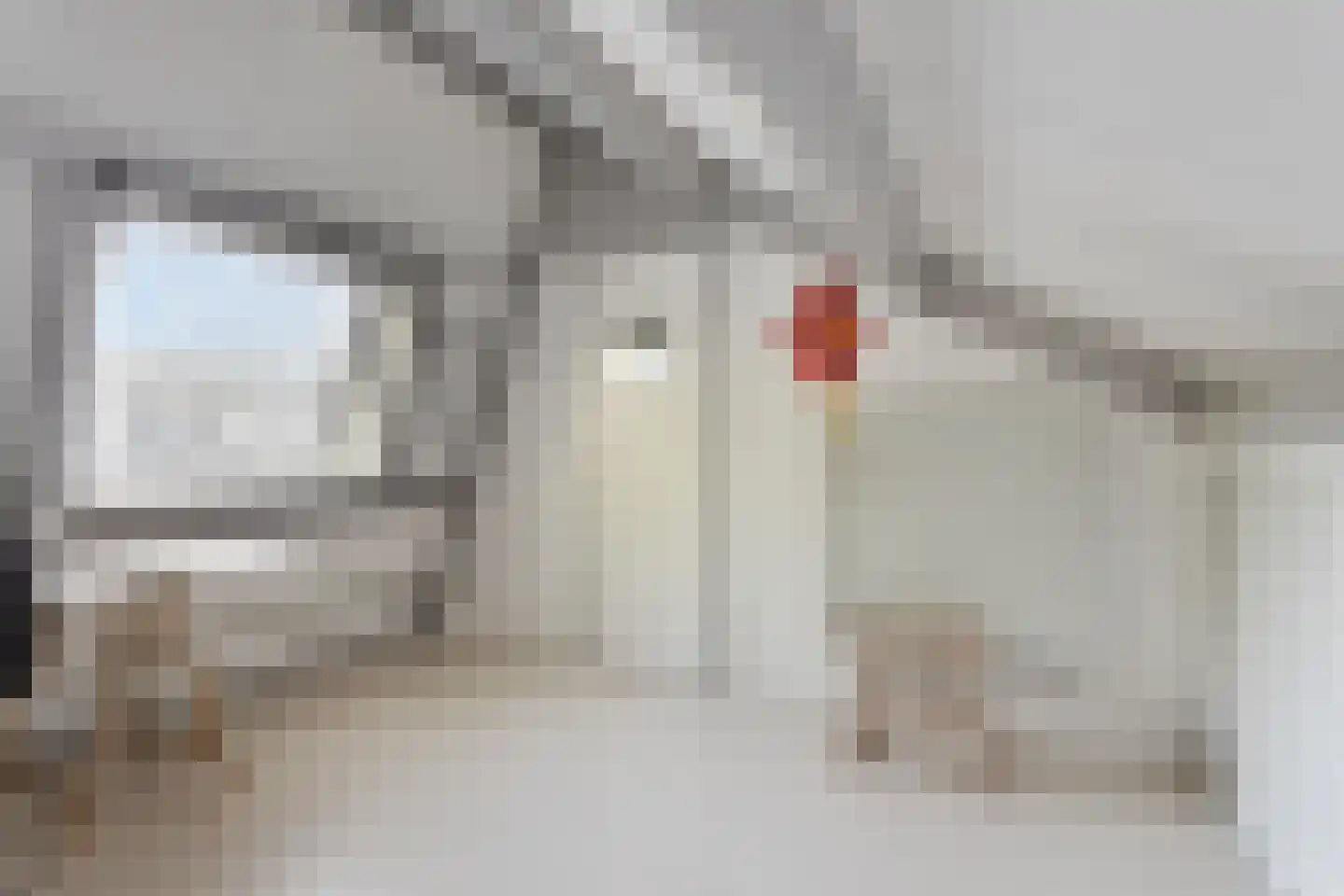 Penningkruid 52 Purmerend thumbnail 33