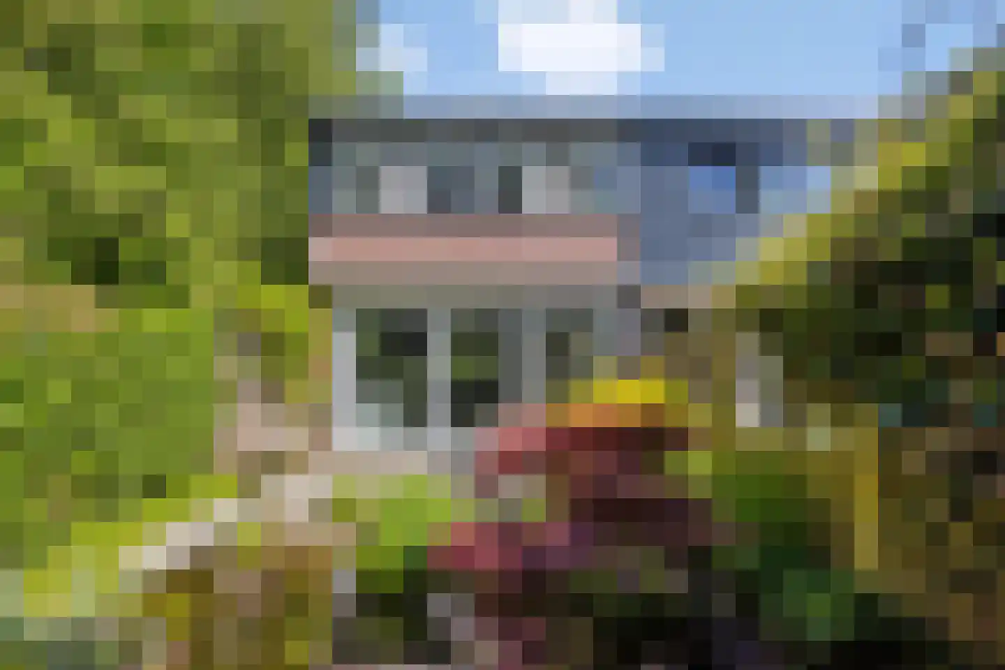 Penningkruid 52 Purmerend thumbnail 36