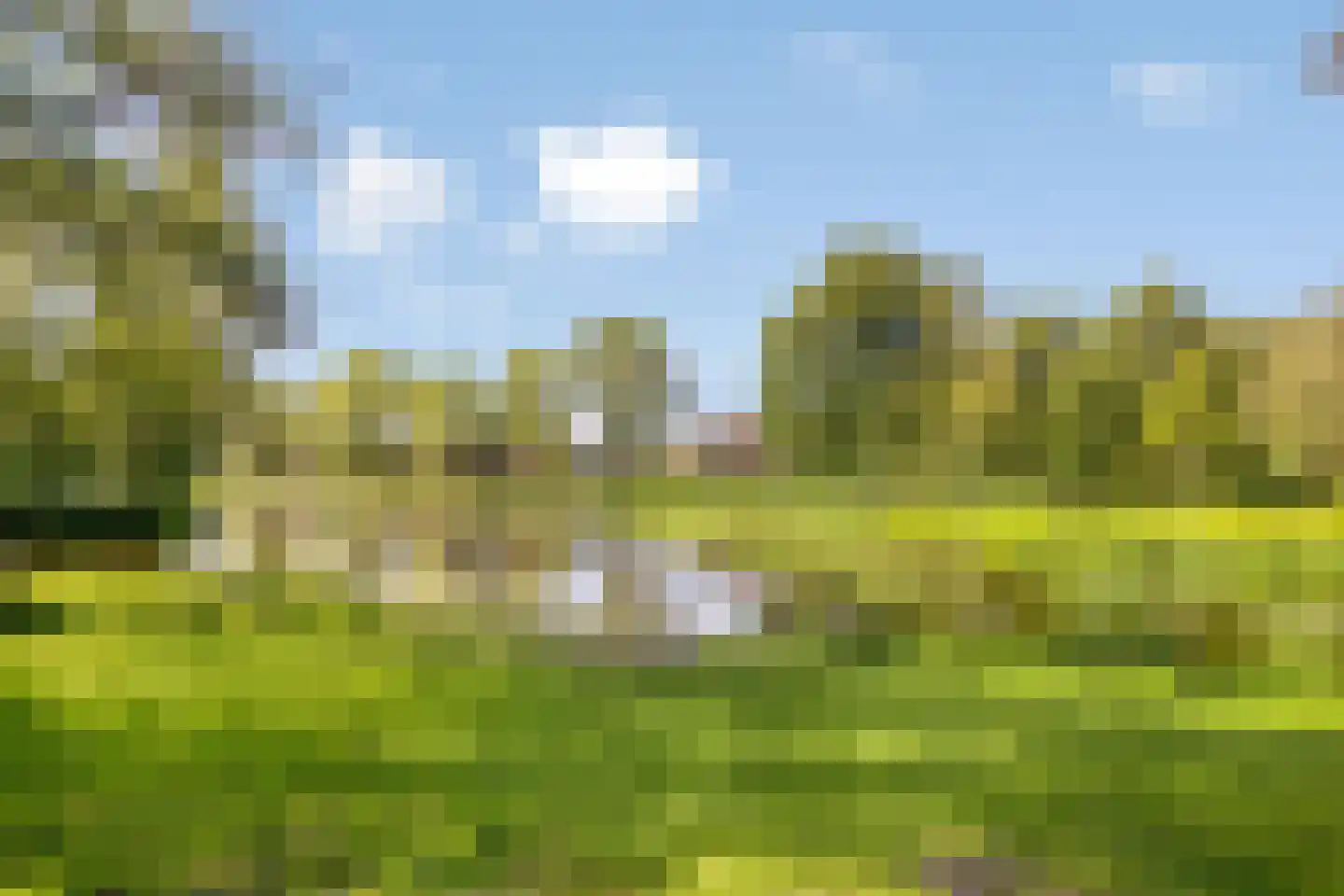 Penningkruid 52 Purmerend thumbnail 37