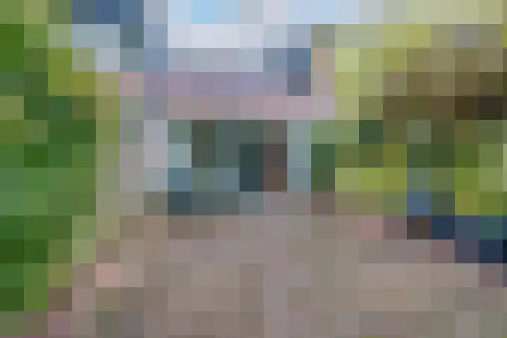 Penningkruid 54 Purmerend thumbnail 21