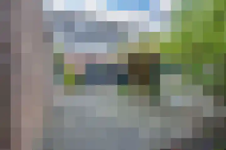 Penningkruid 54 Purmerend thumbnail 43