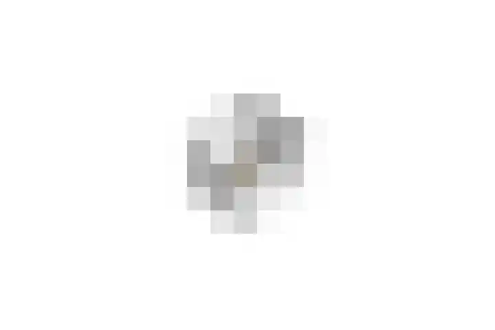 Penningkruid 54 Purmerend thumbnail 54