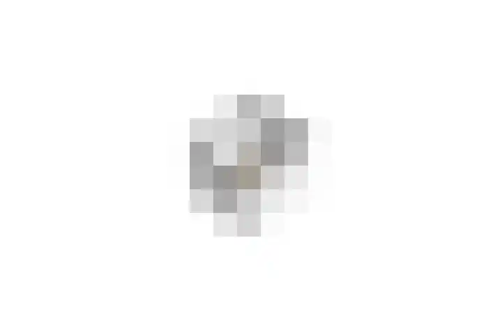 Penningkruid 54 Purmerend thumbnail 55