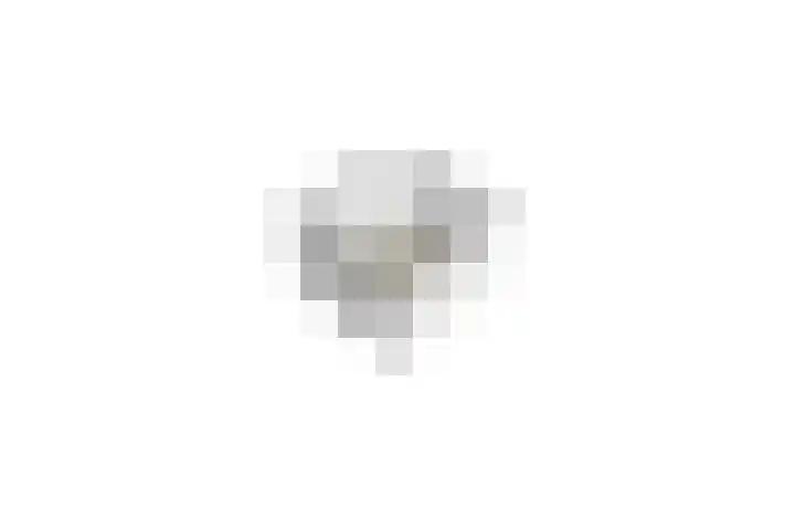 Penningkruid 54 Purmerend thumbnail 57