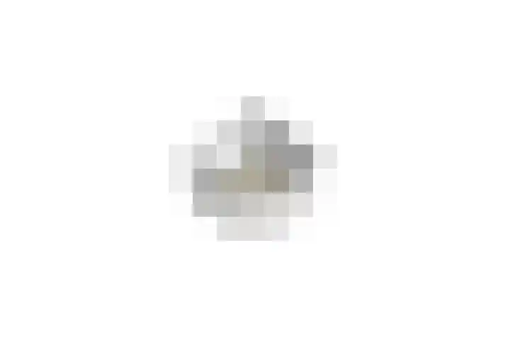 Penningkruid 54 Purmerend thumbnail 58