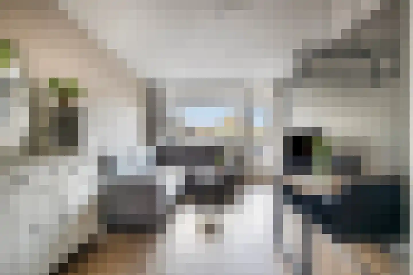 Penningkruid 6 Kampen thumbnail 13
