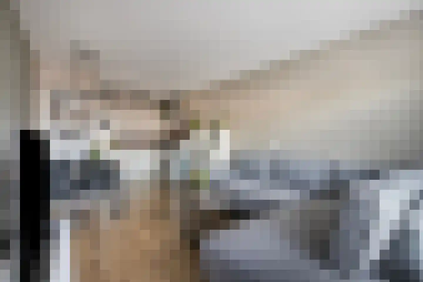 Penningkruid 6 Kampen thumbnail 15
