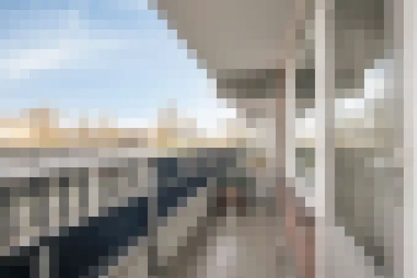 Penningkruid 6 Kampen thumbnail 24