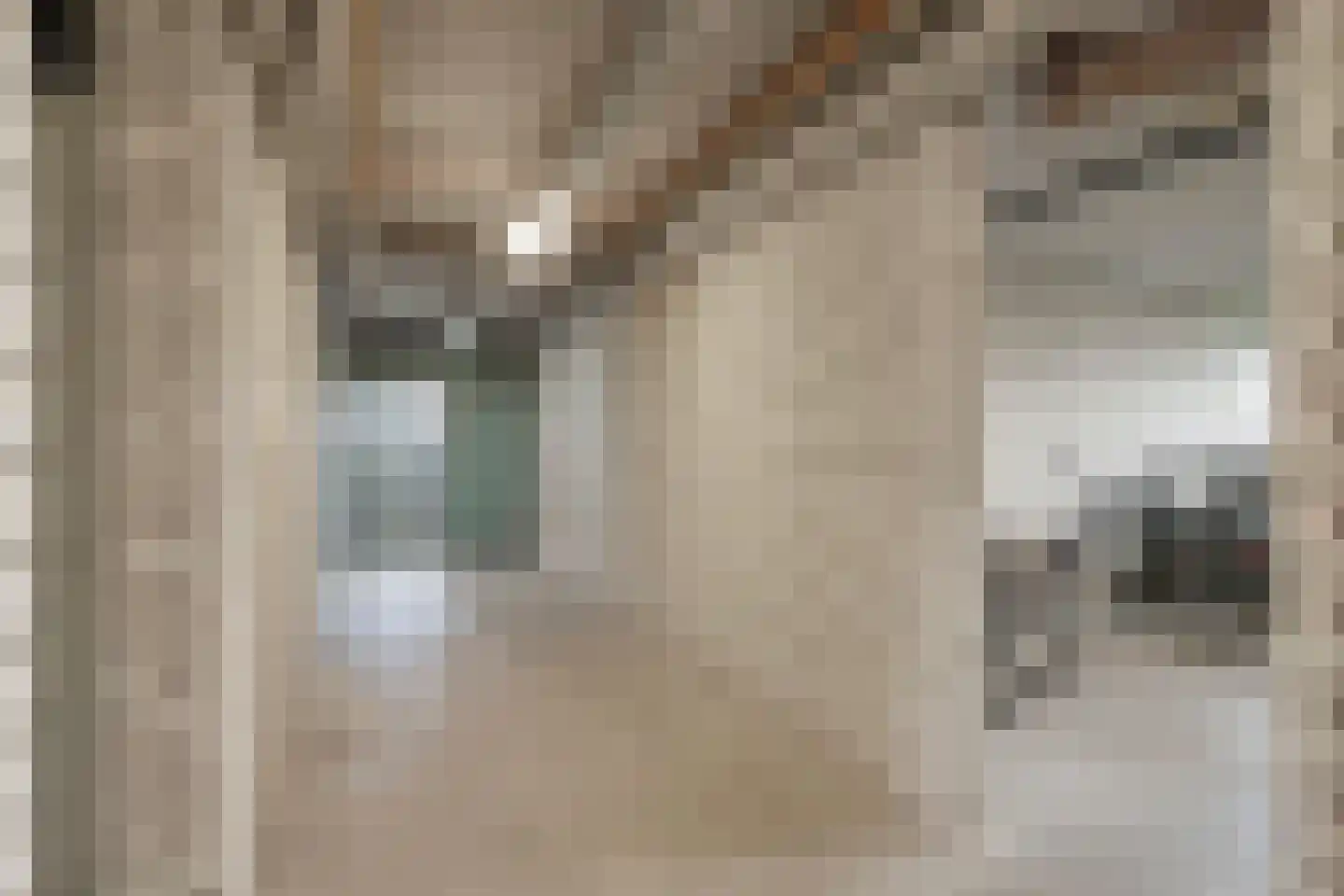 Penningkruid 6 Kampen thumbnail 25