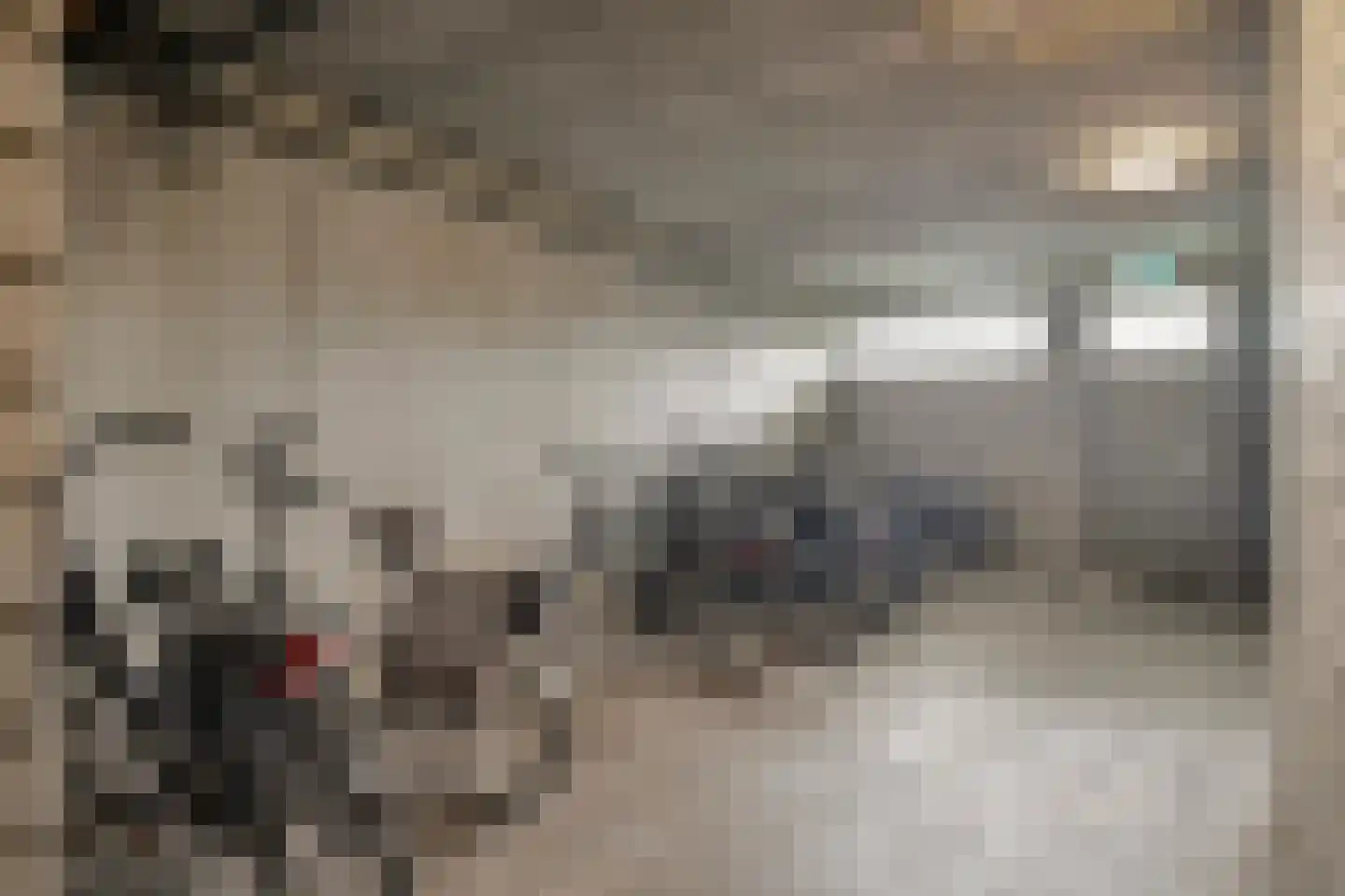 Penningkruid 6 Kampen thumbnail 26