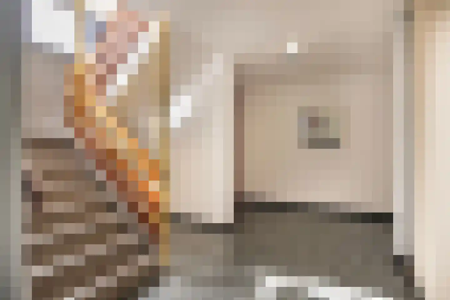 Penningkruid 6 Kampen thumbnail 8
