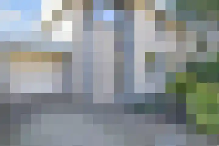 Penningkruid 6 Nootdorp thumbnail 10
