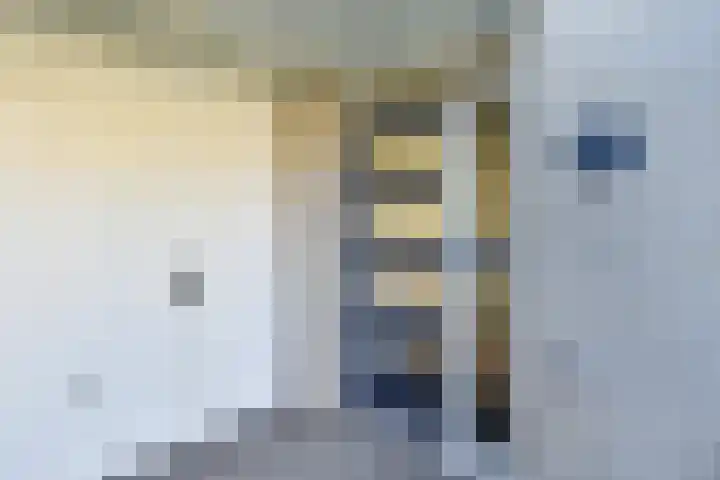 Penningkruid 6 Nootdorp thumbnail 11