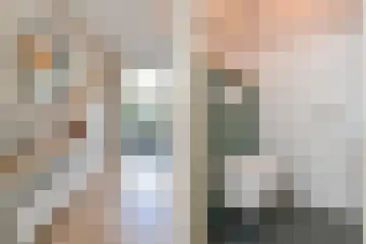 Penningkruid 6 Nootdorp thumbnail 14