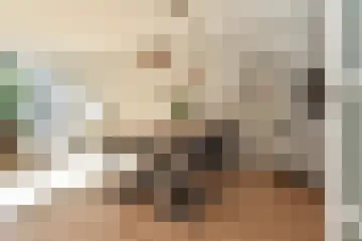 Penningkruid 6 Nootdorp thumbnail 15