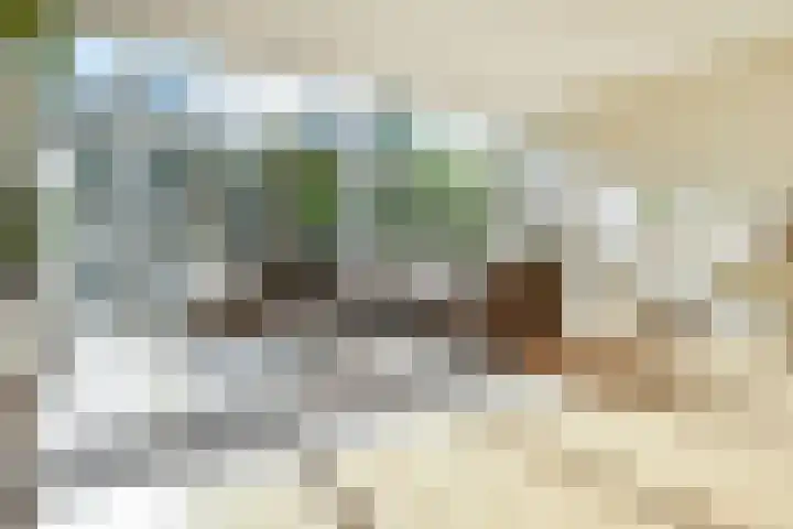 Penningkruid 6 Nootdorp thumbnail 16