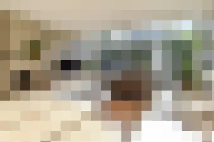 Penningkruid 6 Nootdorp thumbnail 17