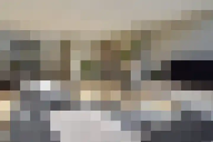 Penningkruid 6 Nootdorp thumbnail 18