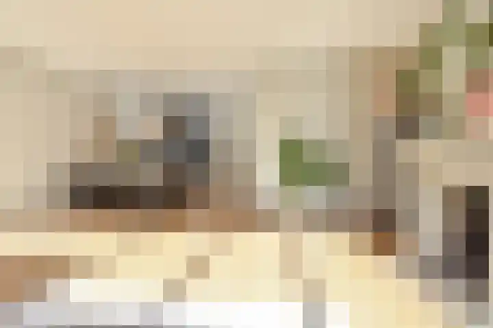 Penningkruid 6 Nootdorp thumbnail 19