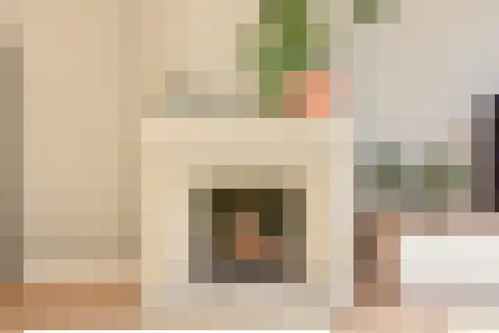 Penningkruid 6 Nootdorp thumbnail 20
